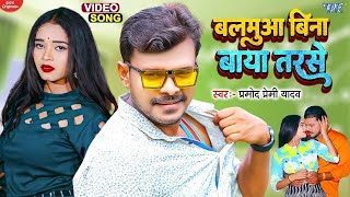 बलमुआ बिना बाया तरसे  Pramod Premi Yadav  Balamua Bina Baya Tarse  Bhojpuri Song 2023 [upl. by Anihsat]