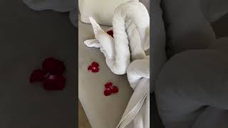 Towel art swan anniversary towelart honeymoon [upl. by Are]