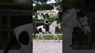 Meine Reitschule 🇨🇭♥️ horsemanship reiten pferdetraining pferdetrainer westernreiten reiten [upl. by Nahs236]