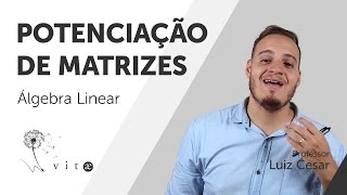 Vitae  Álgebra Linear  Potenciação de Matrizes [upl. by Yarw]