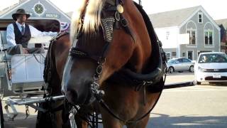 Welcome To Beautiful Kennebunkport Maine [upl. by Learrsi557]