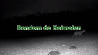 Rondom de Heimolen vlog 12 2024 [upl. by Amron]