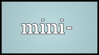 Mini Meaning [upl. by Croner]