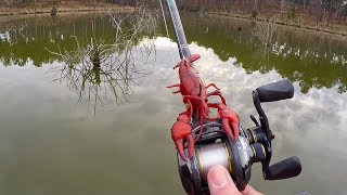 Spawning Bass Destroy New Crawfish Lure [upl. by Amilah772]