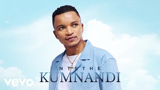 Ntethe  Kumnandi Visualizer [upl. by Ameehs352]