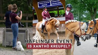 IS XANHTÒ KREUPEL IN DE PROEF 😲  Haflinger Event 2024  Haflinger King amp Beau [upl. by Dusa]