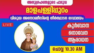 15 OCTOBER 2024  HOLY MASS  ST ANTONYS PILGRIM CHURCH MALAPALLIPURAM [upl. by Janiuszck]