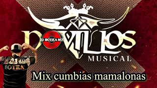 Novillos musical cumbias mamalonas [upl. by Otreblif]