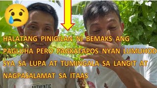 Umiyak talaga si Bemaks pagkatapos Ng vlog🥺Bemaks tv [upl. by Rex449]