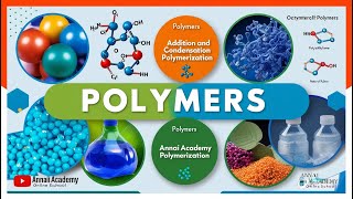 Polymers Unleashed Discover the Science Behind Everyday Materials [upl. by Eryn705]