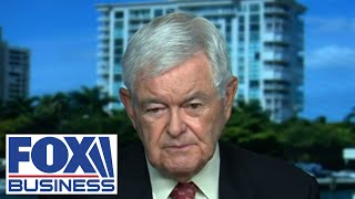 NOTHING HAS CHANGED Gingrich warns of Kamala Harris flipflopping on key issues [upl. by Hadeehuat230]