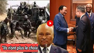 Derniere minutes Larmée camerounaise en colère et avertit Paul Biya Laurent Esso desavoue Ferdinan [upl. by Ellehsar]