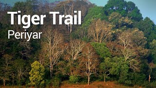 In search of the big cats  Tiger Trail  Periyar Tiger Reserve  Ecotourism Kerala [upl. by Akaya549]