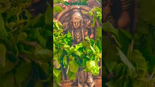 Krishna Devotionalsongs youtube youtubeshorts shorts [upl. by Ayr944]