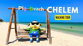 🇲🇽 Pig Beach Walking Tour 2024  Yucatan Mexico  Spring Break [upl. by Sky]