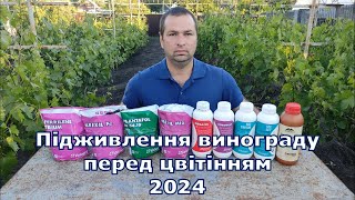 Підживлення винограду перед цвітінням 2024 [upl. by Loutitia85]