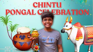 Chintu Pongal celebration  Comedy  Velujazz [upl. by Reiche256]