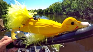 Fishing A Duck Lure For MONSTER Pike [upl. by Dhumma]