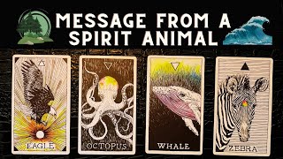 Pick A Card 🔮 What ANIMAL Spirit Has A MESSAGE For You 🦋🦁🐬 Intuitive Channeling [upl. by Nirrek904]