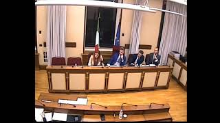 2 Commissione Covid 19 Audizione Associazione Sereni e sempre uniti [upl. by Grover]