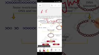 Diagrammatic representation of recombinant DNA 🧬 technology biology biotechnology 12th doubts [upl. by Maura]