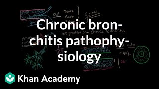 Chronic bronchitis pathophysiology  Respiratory system diseases  NCLEXRN  Khan Academy [upl. by Mita]