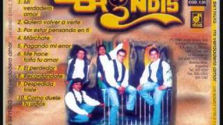 grupo bryndis el perdedor audio ♫♥♪♫♫♥♪♫♫♥♪♫♫♥♪♫ [upl. by Kola]