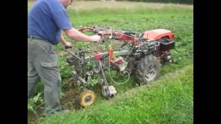 Einachser Kartoffel häufeln und Unkraut vernichten  DIY Potato hiller at walking tractor [upl. by Eerot]