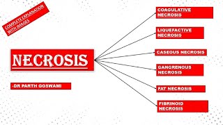 Necrosis  Types of Necrosis  Doodle animation  Made easy  Images [upl. by Hanover53]