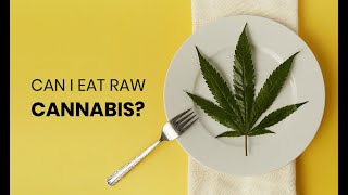 Can you Eat Raw Cannabis [upl. by Yentruok]