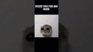 💯💯💯 remix music memes fypシ゚ cute sadhampster [upl. by Drofdarb38]