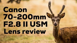 Canon 70200mm f28 L IS II USM Real world review  with sample photos [upl. by Emilio]