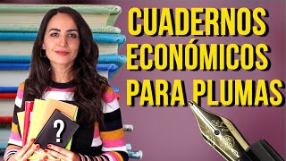 📚 CUADERNOS ECONÓMICOS para PLUMAS ESTILOGRÁFICAS [upl. by Eidoj]