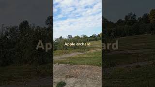 Apple orchard familyvlog spendthedaywithus familytimefun [upl. by Euqinaj]