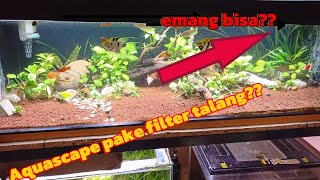 aquascape low budget pake filter talang 🤯😱😱😱 [upl. by Naz481]