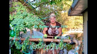 Episode 27 of “My Garden Diaries 2023” [upl. by Edita]