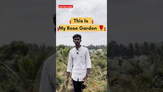 Full Details About Rose Garden agriculture farming floriculture love FarmFactsTamil🌱🌾🐄 [upl. by Deb190]