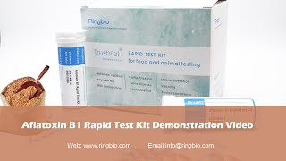 Training video for Ringbio Aflatoxin B1 Rapid Test Kit [upl. by Trella139]