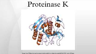 Proteinase K [upl. by Elad136]