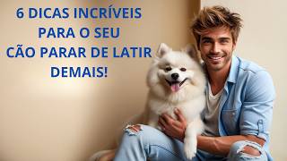 COMO FAZER O CÃO PARAR DE LATIR DEMAIS  6 DICAS INCRÍVEIS [upl. by Intirb]