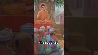 This was one of the MOST Important events in Buddhism history [upl. by Malarkey]