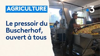 Le pressoir de la ferme du Buscherhof ouvert aux particuliers et aux professionnels [upl. by Luap636]