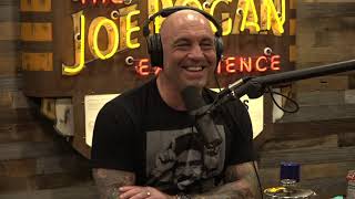 Joe Rogan Experience 1677  Tim Dillon [upl. by Nnateragram]