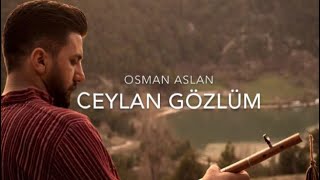 Ceylan Gözlüm  OSMAN ASLAN [upl. by Rentschler]