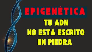 ESTA ES LA REALIDAD  LA EPIGENÉTICA Y COMO TRANSFORMAR TU ADN SALUD BIENESTAR Y MANIFESTAR [upl. by Maice]