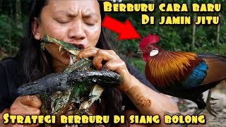 CARA BARU BERBURU AYAM LIAR ALA DEDE INOEN DI JAMIN BERHASIL [upl. by Arul]