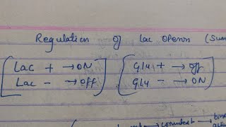 Regulation of Lac Operon short summary  Recall with me [upl. by Mundt]