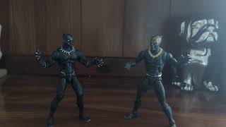 TChalla vs Erik Killmonger [upl. by Meeker790]