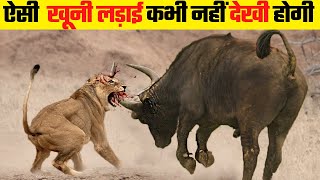 जानवरों की सबसे भयानक लड़ाई  10 Most Dangerous Wild Animal Fights [upl. by Janerich412]