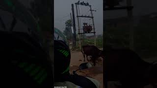 BIHAR DAY OF 0409 Rajgir Bihar jharkhandvlog070 youtube youtubeshorts [upl. by Claudina]